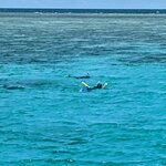 Photo taken by Daniel S