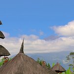 Photo taken by Laurence S