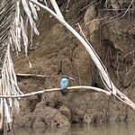 Photo taken by Bonnie Y