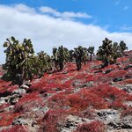 Photo taken by Debby D