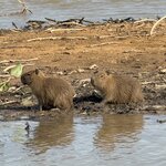 Photo taken by Sathees R