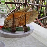 Photo taken by Stephen B