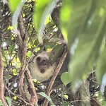 Photo taken by Kimberly J