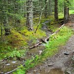 Photo taken by Tamara N