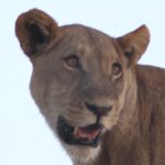 Photo taken by John B