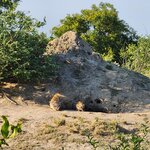 Photo taken by Yin Ling K