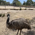 Photo taken by William F