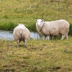 Photo taken by Jane V