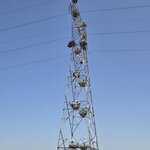 Photo taken by Doug P