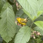 Photo taken by Ben S