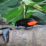 Photo taken by Pat K