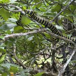 Photo taken by Brian W