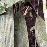 Photo taken by Chris G