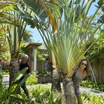 Photo taken by wendi r