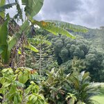 Photo taken by Karen C