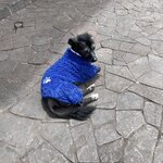 Photo taken by Stephanie S