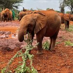 Photo taken by Julien C