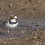 Photo taken by Graham D