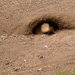 Photo taken by Richard P