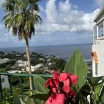 Photo taken by DeMarie I