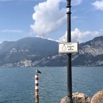 Photo taken by Laurie W