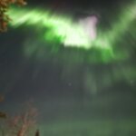 Photo taken by Monique V