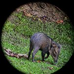 Photo taken by Natasha J