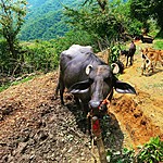 Photo taken by John David W