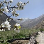 Photo taken by Charis U