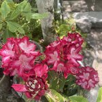 Photo taken by Caz J