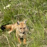 Photo taken by carlos d