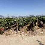 Photo taken by Rebecca E