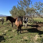 Photo taken by Isabel H