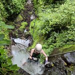 Photo taken by Shane S