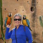 Photo taken by Brooke D