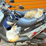 Photo taken by Patricia O