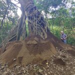 Photo taken by Dawne D