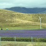 Photo taken by susan s