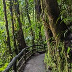 Photo taken by Jason C