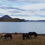 Lake Mytvatn and Hverfjall crater | Photo taken by Judith M