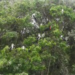 Photo taken by Wouter K