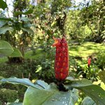 Photo taken by Lauren A