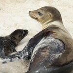 Photo taken by Patricia D