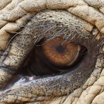 Photo taken by Steve W