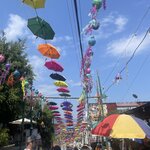 Photo taken by Janine F