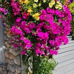 Photo taken by Jose R