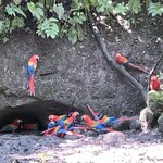 Photo taken by Thomas R