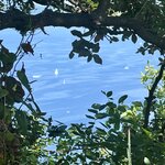 Photo taken by Erin J