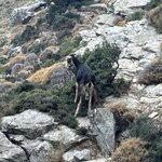 Photo taken by Darcy G