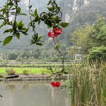 Photo taken by Susan R